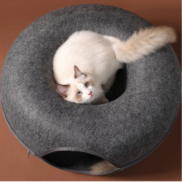 Peekaboo Cat Donut